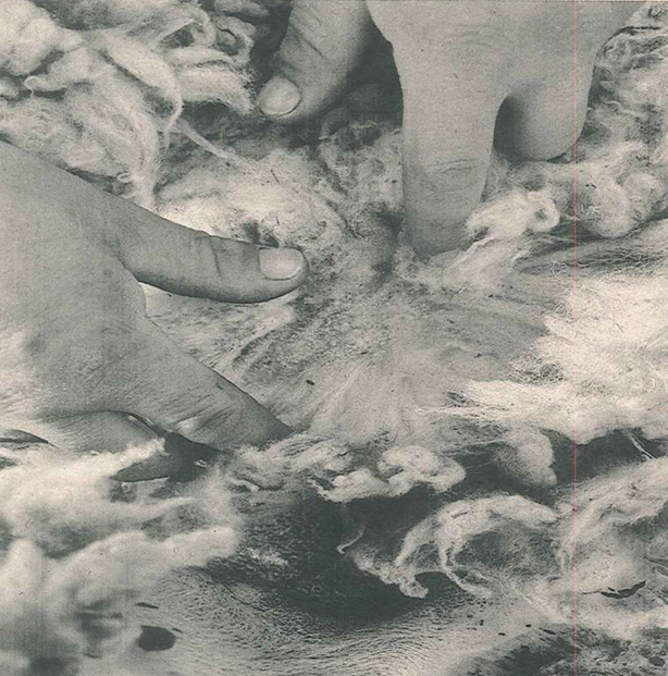 Efectividad de diferentes tratamientos para erradicacion y control de sarna ovina en la zona de ingeniero jacobacci