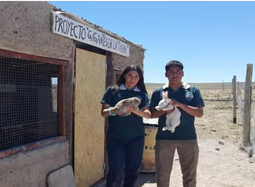 Gigantes en la Tierra: Producción de conejos Gigante de Flandes