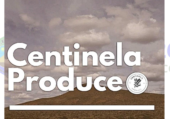 Centinela produce