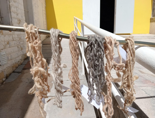 El arte de los tintes naturales