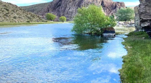 Desafío hídrico en río Chico, verde en crisis